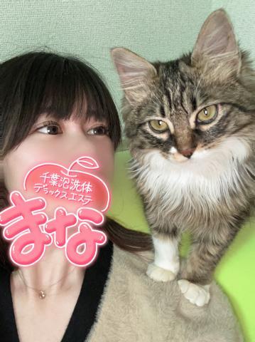 <img class="emojione" alt="🐱" title=":cat:" src="https://fuzoku.jp/assets/img/emojione/1f431.png"/><img class="emojione" alt="💕" title=":two_hearts:" src="https://fuzoku.jp/assets/img/emojione/1f495.png"/>