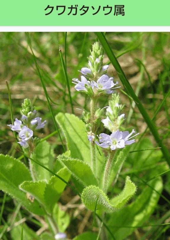 [お題]from:最近行ってないやさん