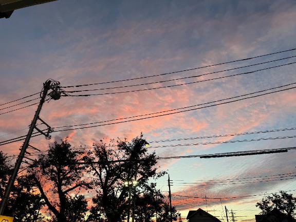 洗濯日和なのに