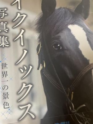 推しの子です<img class="emojione" alt="🏇" title=":horse_racing:" src="https://fuzoku.jp/assets/img/emojione/1f3c7.png"/>