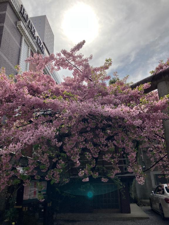 おはようございます<img class="emojione" alt="🌸" title=":cherry_blossom:" src="https://fuzoku.jp/assets/img/emojione/1f338.png"/>