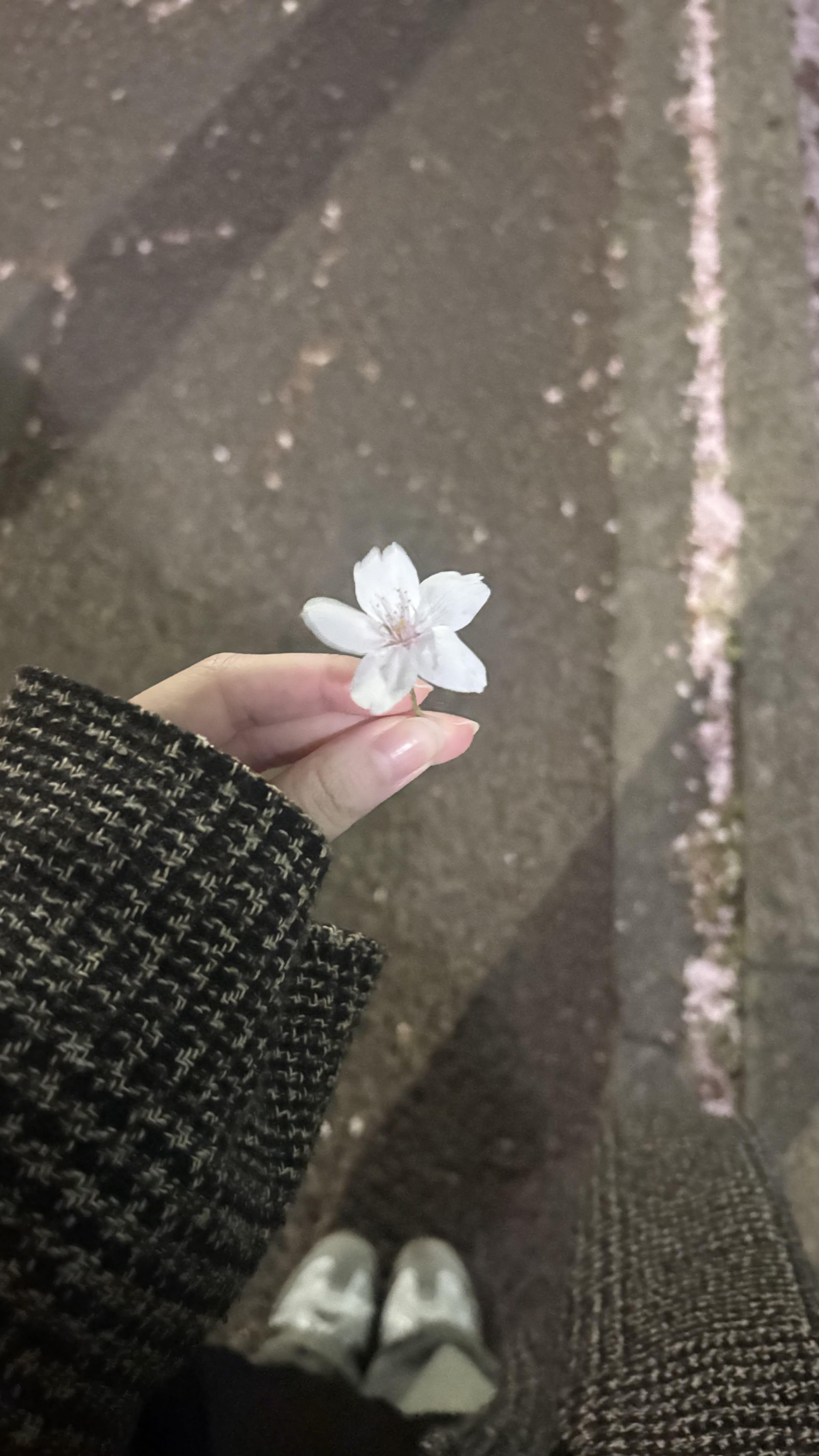しばらくお休みです( &acute;. .̫ . `)↯↯