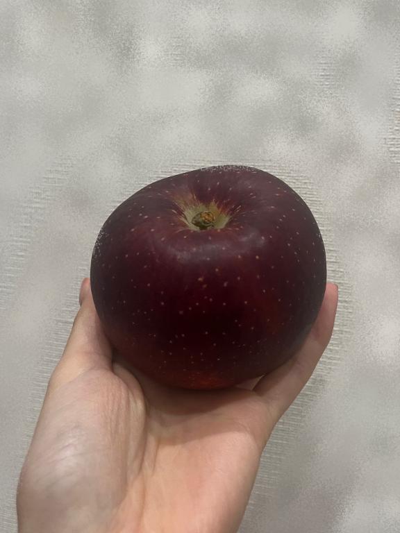 こんにちは✴︎