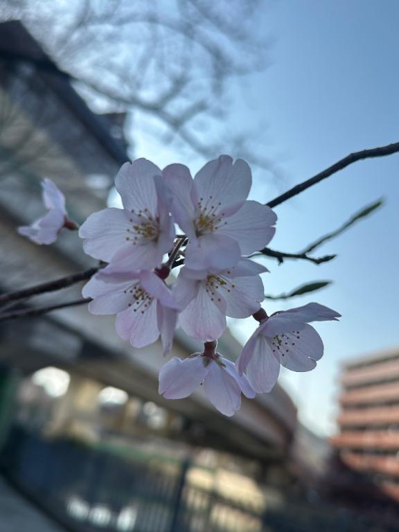 お久しぶりです