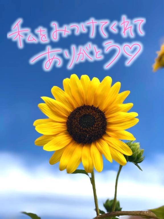 はじめまして♡Eさん♡へ