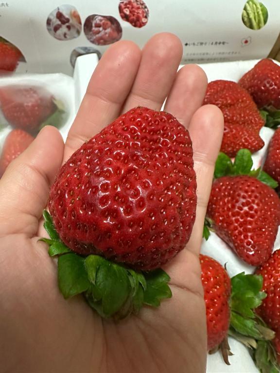 ご指名さまへ♡出勤情報