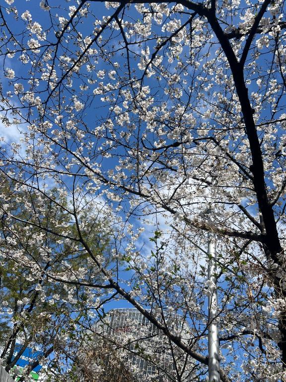今日もいい天気<img class="emojione" alt="😊" title=":blush:" src="https://fuzoku.jp/assets/img/emojione/1f60a.png"/>
