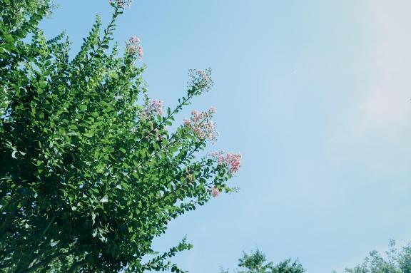 こんにちは<img class="emojione" alt="☀️" title=":sunny:" src="https://fuzoku.jp/assets/img/emojione/2600.png"/>