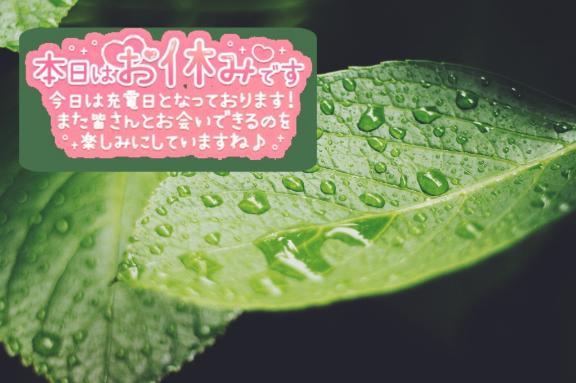 台風<img class="emojione" alt="🌀" title=":cyclone:" src="https://fuzoku.jp/assets/img/emojione/1f300.png"/>