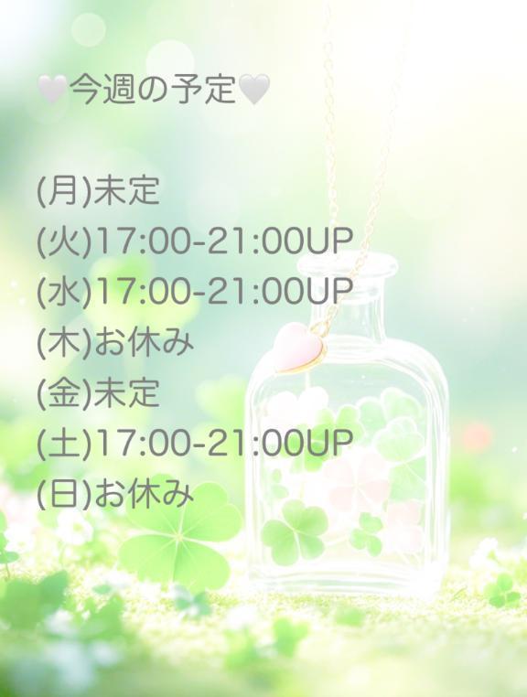 🤍今週のスケジュール🤍
