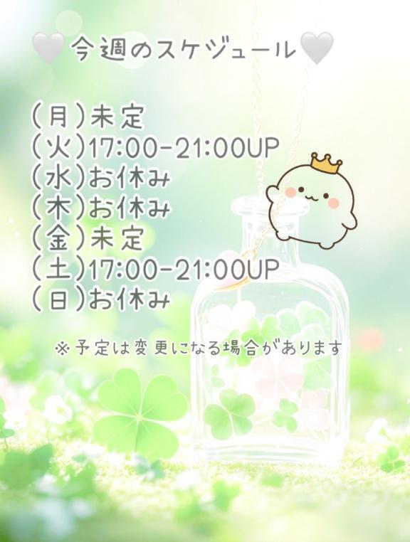🤍今週のスケジュール🤍