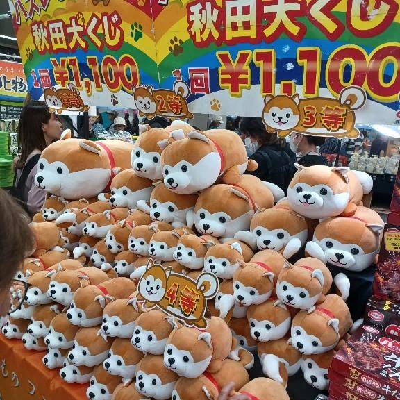 親○○ですね(笑)