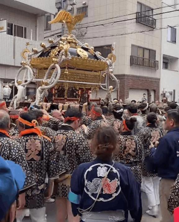 鳥越祭だよ。