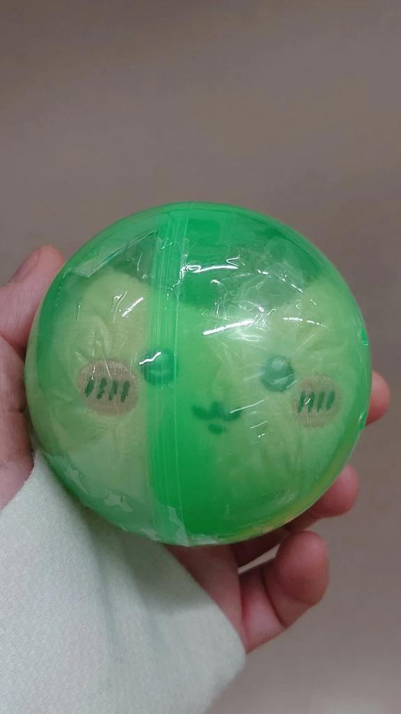 素敵な5時間🦭🩵