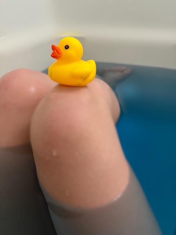 あひる