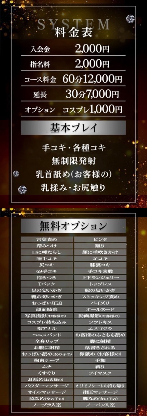 体感サロン マチルダとベロニカ＿料金システム1