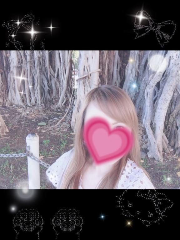 今日以降の予定です♡♡