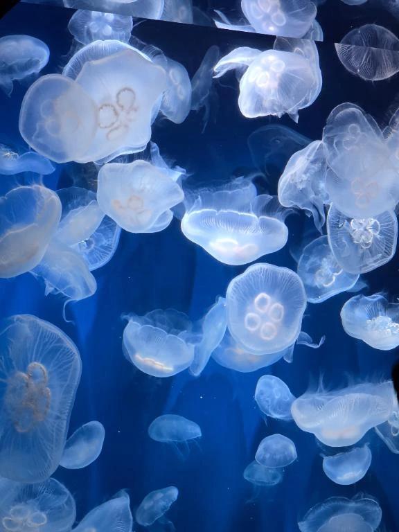 変更のお知らせ