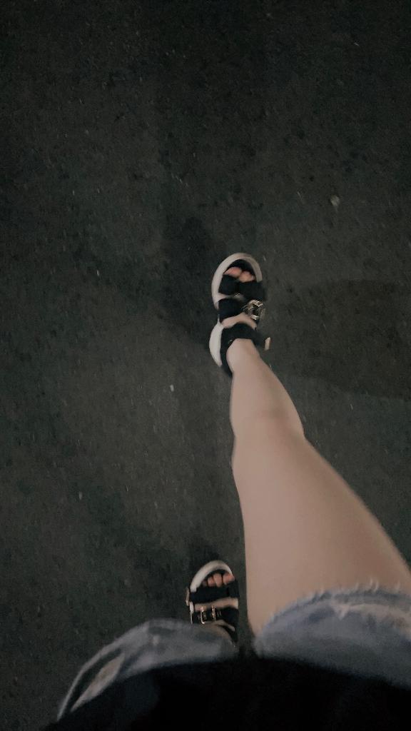 今日いるよー