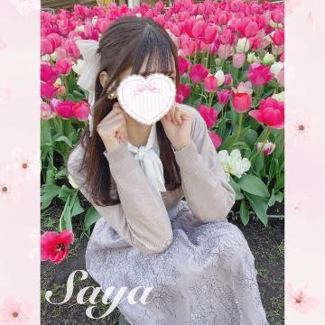 SAYA【さや】です