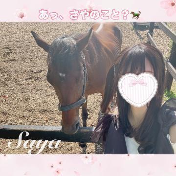 あっ、さやのこと？<img class="emojione" alt="🐎" title=":racehorse:" src="https://fuzoku.jp/assets/img/emojione/1f40e.png"/>