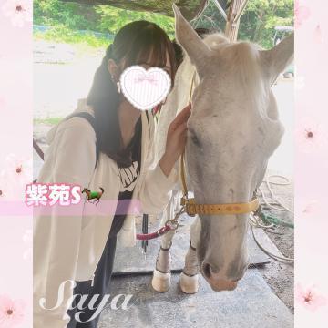 紫苑S<img class="emojione" alt="🐎" title=":racehorse:" src="https://fuzoku.jp/assets/img/emojione/1f40e.png"/>