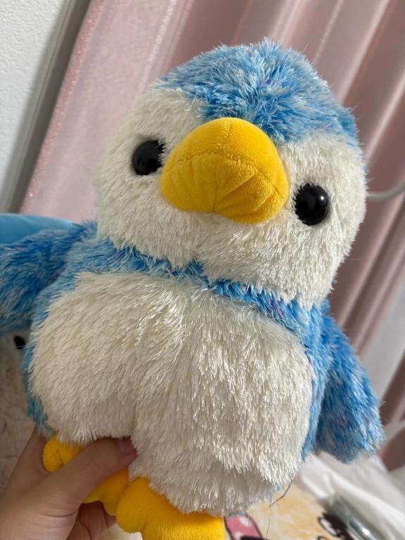 本日について