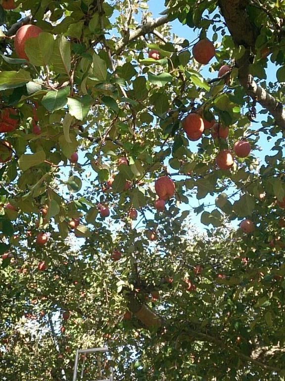 わぁーい(*´꒳`*)