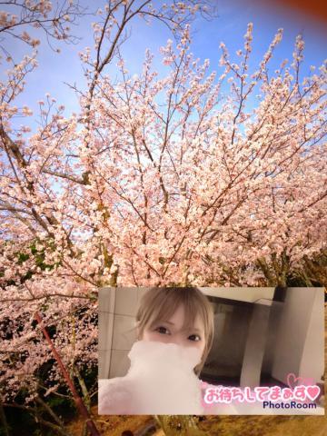 春だね<img class="emojione" alt="🌸" title=":cherry_blossom:" src="https://fuzoku.jp/assets/img/emojione/1f338.png"/>