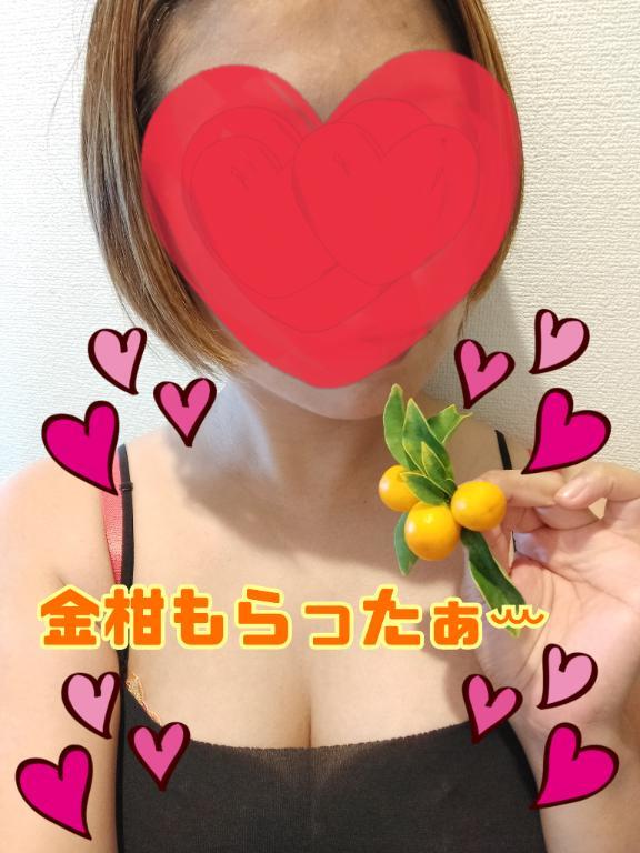 金柑もらったぁ<img class="emojione" alt="🍊" title=":tangerine:" src="https://fuzoku.jp/assets/img/emojione/1f34a.png"/><img class="emojione" alt="💕" title=":two_hearts:" src="https://fuzoku.jp/assets/img/emojione/1f495.png"/><img class="emojione" alt="💕" title=":two_hearts:" src="https://fuzoku.jp/assets/img/emojione/1f495.png"/><img class="emojione" alt="💕" title=":two_hearts:" src="https://fuzoku.jp/assets/img/emojione/1f495.png"/>