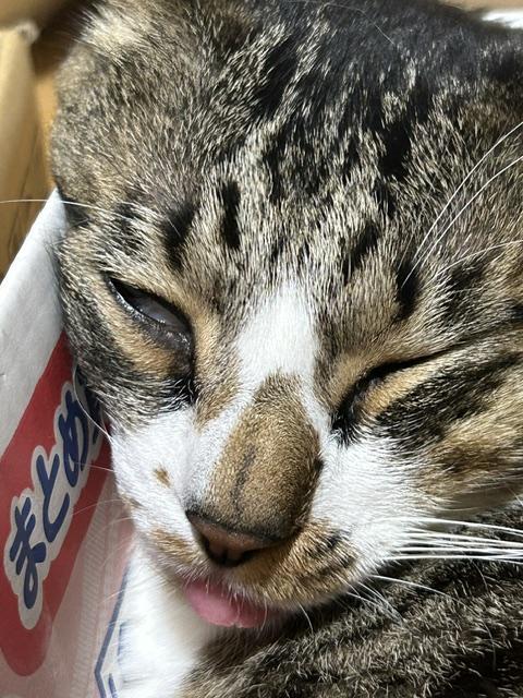 おはよう