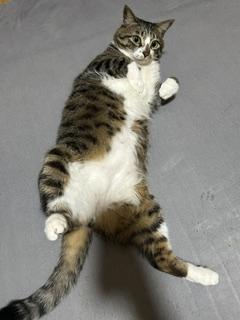 おはよう