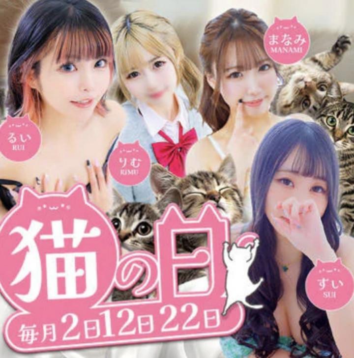 12日は猫の日🐱