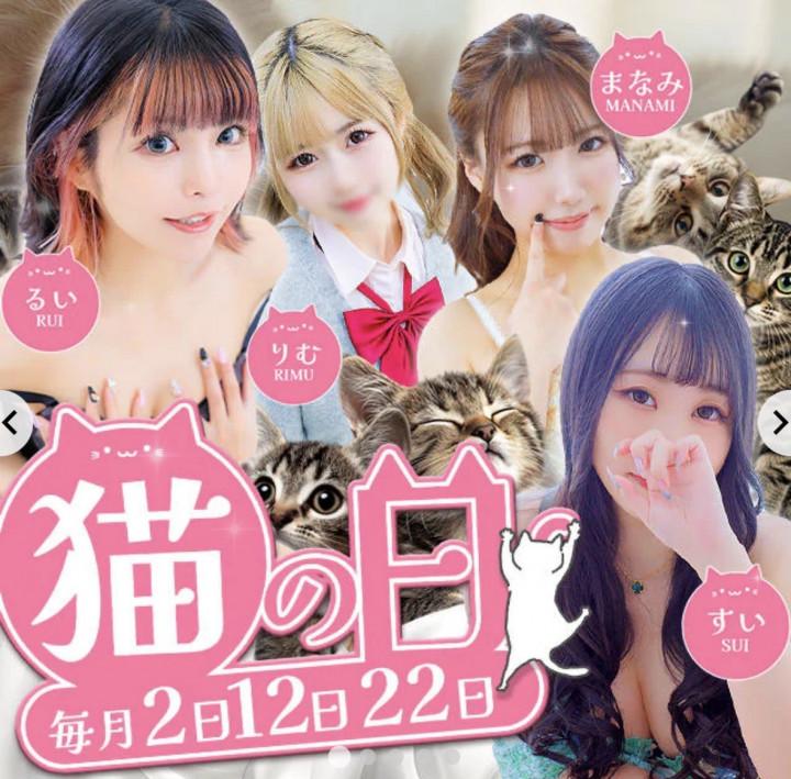 猫の日わーい