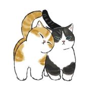 本日もありがとうございました💖