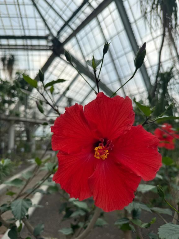植物園