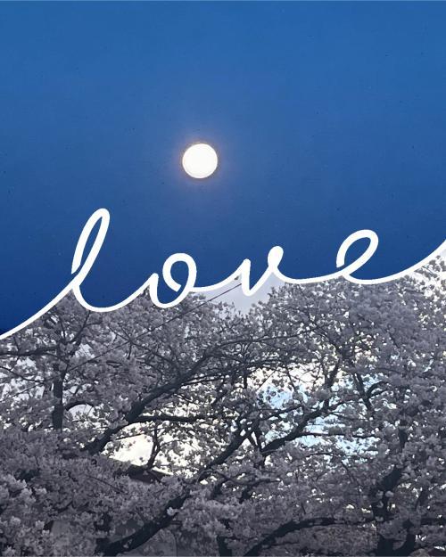 <img class="emojione" alt="🌈" title=":rainbow:" src="https://fuzoku.jp/assets/img/emojione/1f308.png"/>Thank you for a happy day<img class="emojione" alt="🌈" title=":rainbow:" src="https://fuzoku.jp/assets/img/emojione/1f308.png"/>