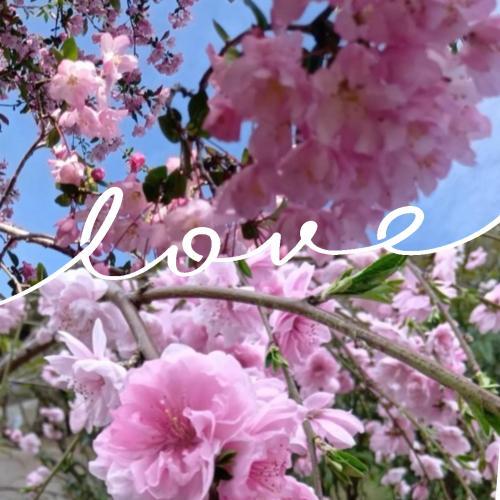 <img class="emojione" alt="🌈" title=":rainbow:" src="https://fuzoku.jp/assets/img/emojione/1f308.png"/>Thank you for a happy day<img class="emojione" alt="🌈" title=":rainbow:" src="https://fuzoku.jp/assets/img/emojione/1f308.png"/>