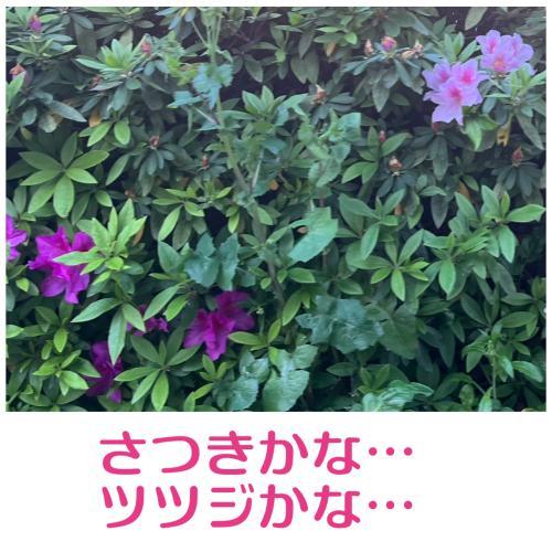 <img class="emojione" alt="🍀" title=":four_leaf_clover:" src="https://fuzoku.jp/assets/img/emojione/1f340.png"/>お詫び<img class="emojione" alt="🍀" title=":four_leaf_clover:" src="https://fuzoku.jp/assets/img/emojione/1f340.png"/>