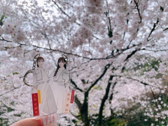 桜と次回のお給仕予定 <img class="emojione" alt="🌸" title=":cherry_blossom:" src="https://fuzoku.jp/assets/img/emojione/1f338.png"/>