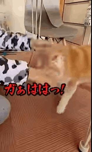 <img class="emojione" alt="🐶" title=":dog:" src="https://fuzoku.jp/assets/img/emojione/1f436.png"/>