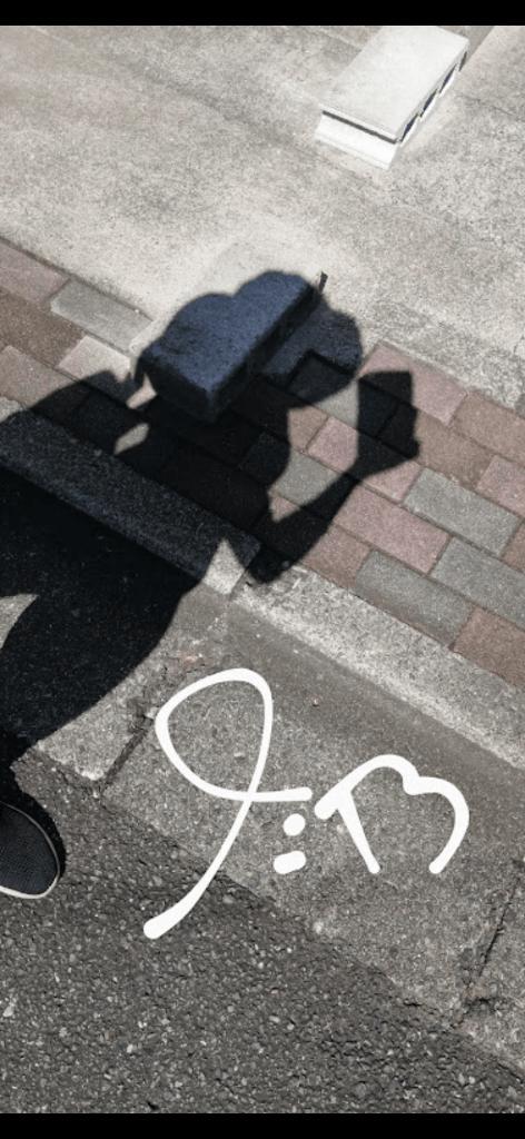 (ﾉｼ &acute;･&omega;･`)ﾉｼ