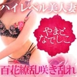 やまとなでしこ