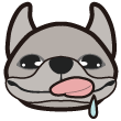 お久しぶりです！