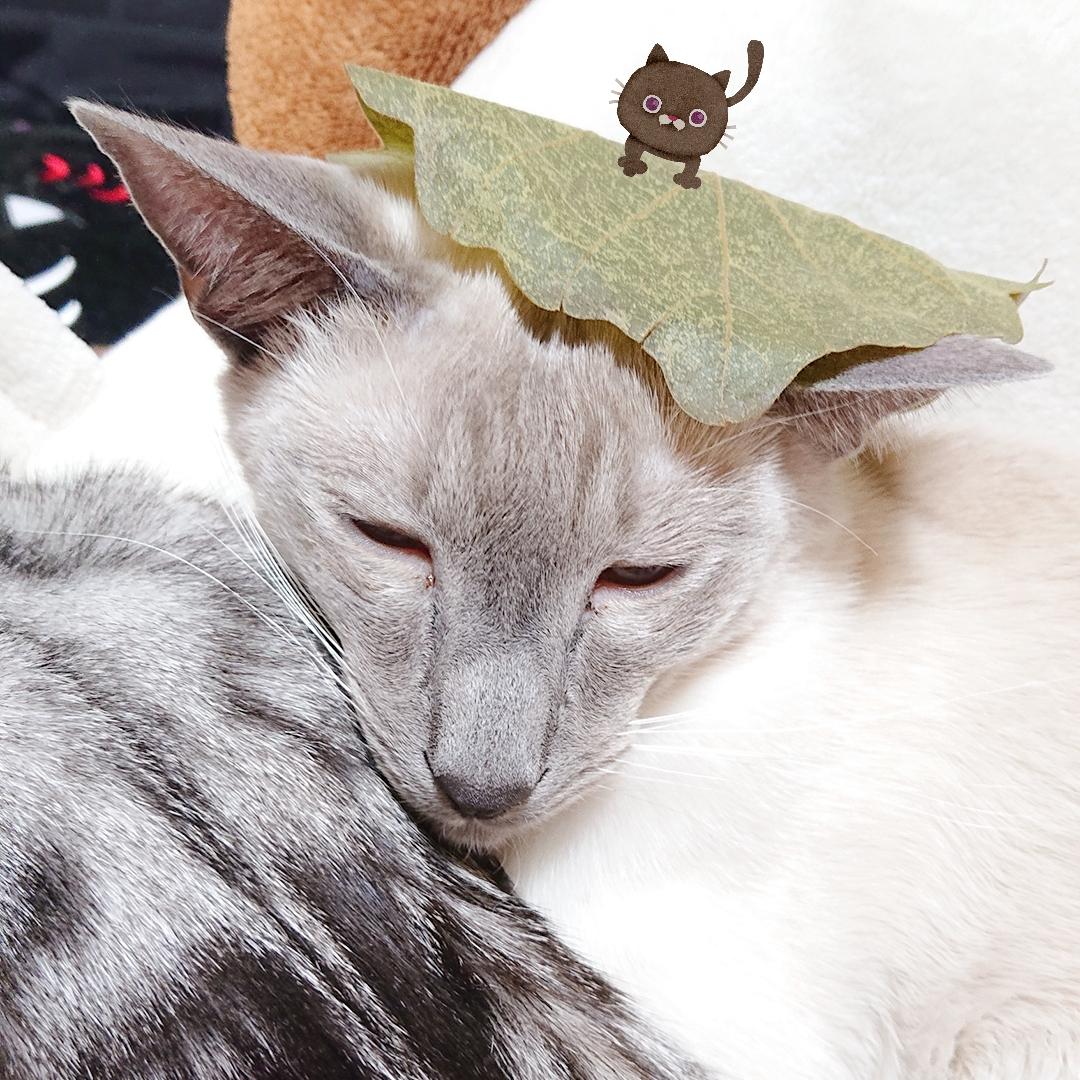 今日!!