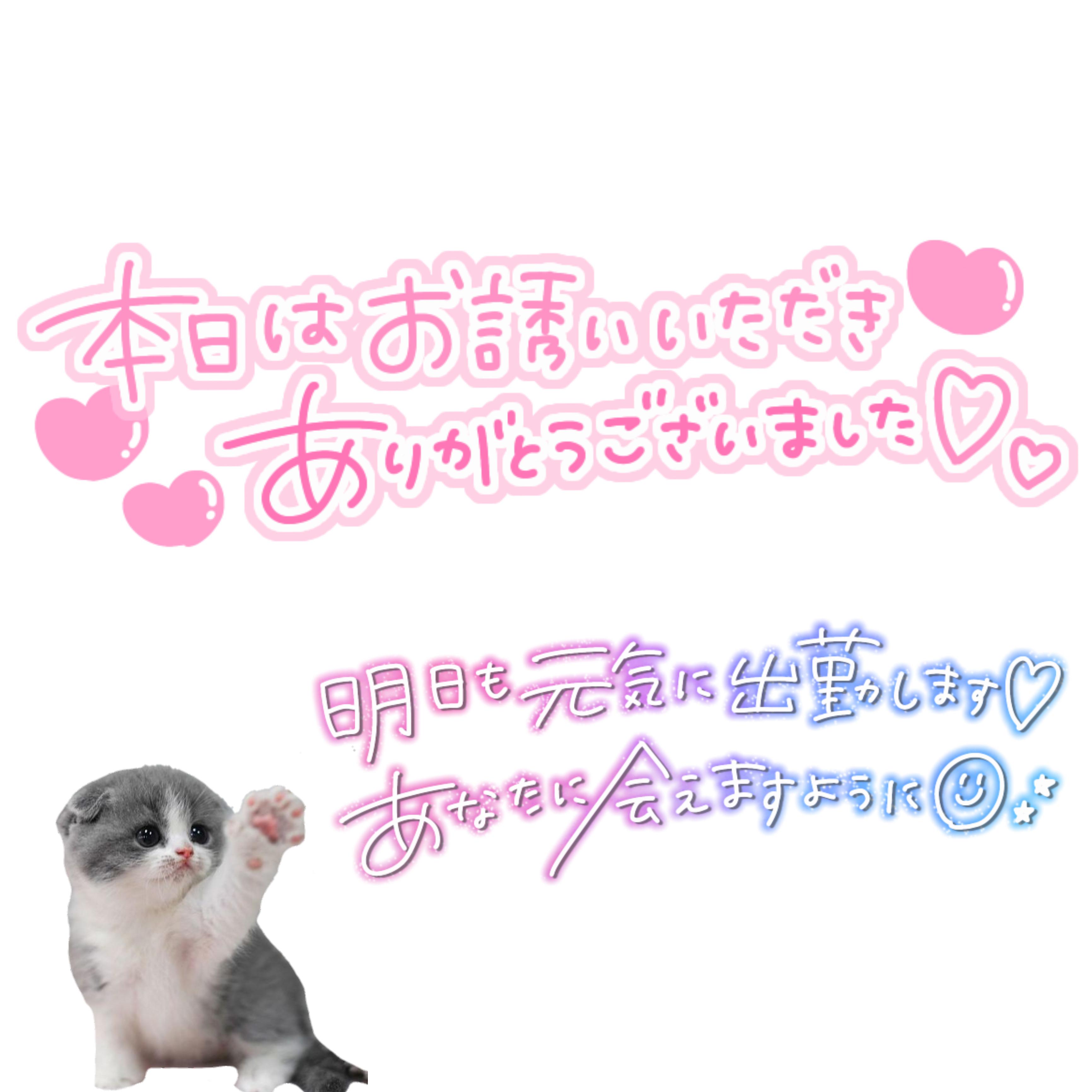 おやすみなさい(_ _).｡o○