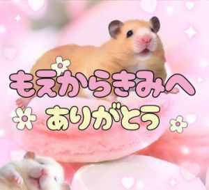 <img class="emojione" alt="🐹" title=":hamster:" src="https://fuzoku.jp/assets/img/emojione/1f439.png"/><img class="emojione" alt="💌" title=":love_letter:" src="https://fuzoku.jp/assets/img/emojione/1f48c.png"/>4月22日 Tちゃん宛