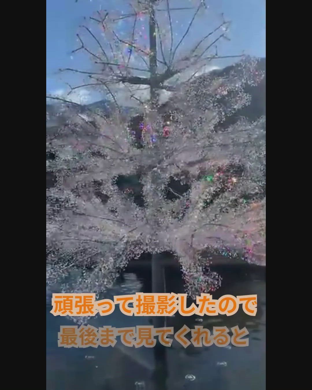 ちか動画