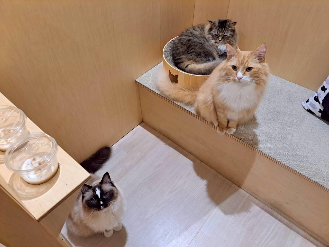 地元ただいま！