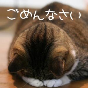 来週まで<img class="emojione" alt="😢" title=":cry:" src="https://fuzoku.jp/assets/img/emojione/1f622.png"/>